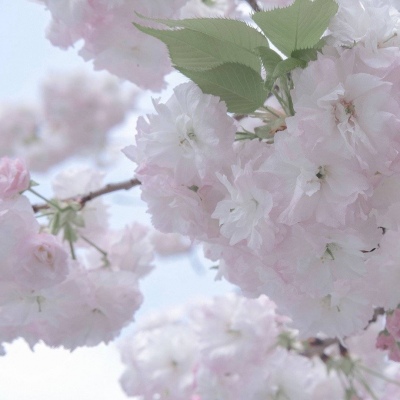 兽设山谷场景创作福瑞交流群